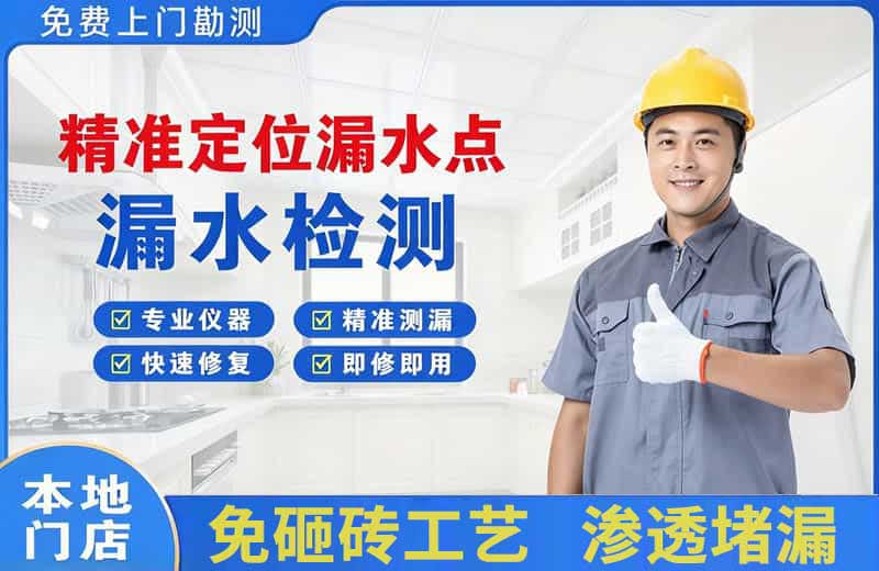 会山精准测漏点